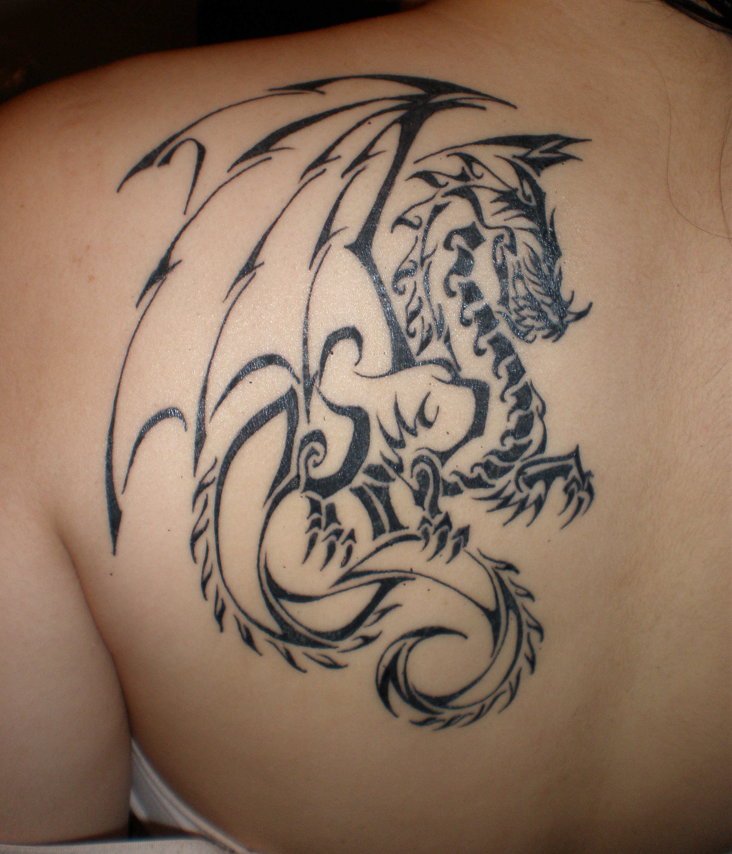 Types of Dragon Tattoo Ideas| Meaning & Image Gallery