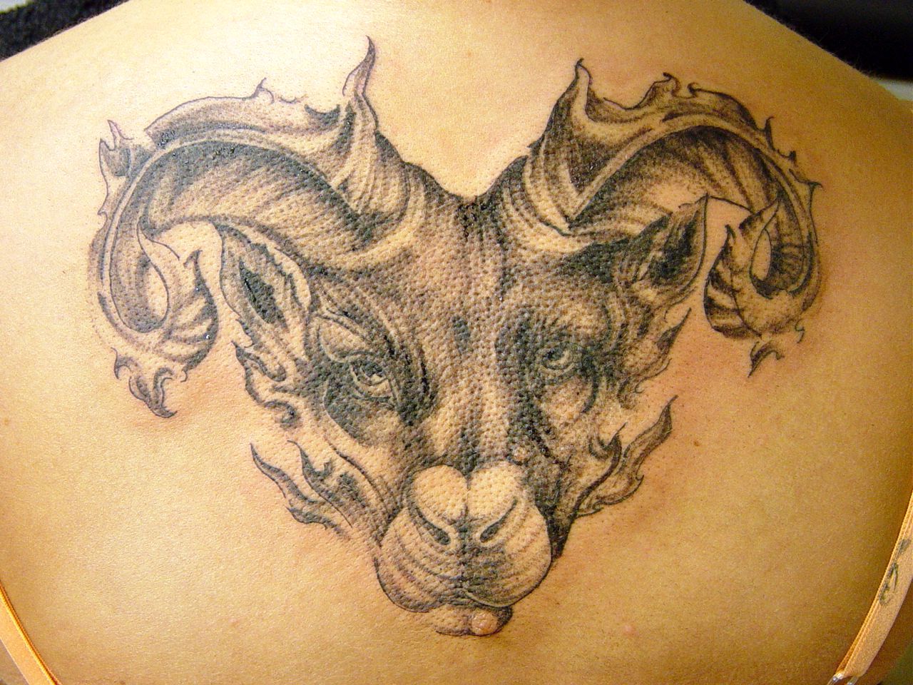 9. Aries Animal Spirit Tattoo - wide 4