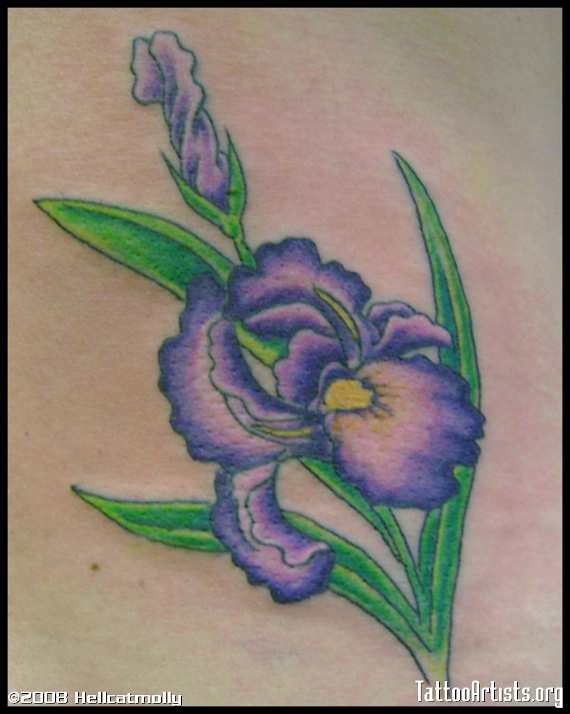 Iris Flower Tattoo Drawing Viewing Gallery