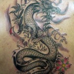 Dragon Tattoo on Shoulder, Dragon Tattoo on Back, Dragon Tattoo on Arm