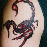 Scorpion Tribal Tattoo Designs, tattoo designs, tattooing, tattoos, designs, piercing, ink, pictures, images, Scorpion Tribal