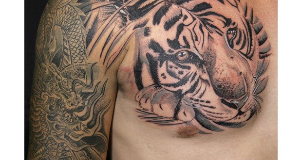 Tiger Tribal Tattoos Designs, tattoo designs, tattooing, tattoos, designs, piercing, ink, pictures, images, Tiger