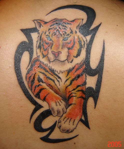 Tiger Tribal Tattoo Designs For Women Men Pictures