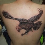 Hawk Tattoos (1)