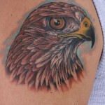 Hawk Tattoos (4)