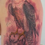 Hawk Tattoos (6)