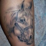 Horse Tattoos (1)