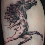 Horse Tattoos (9)