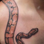 Python Tattoos (1)