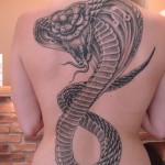Snake Tattoos (3)