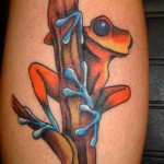 Tree Frog Tattoos7