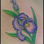 Iris-Tattoos5