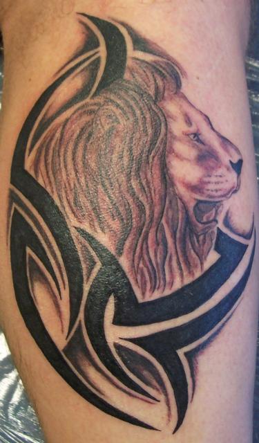Lion Tribal Tattoos