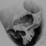 Moth-Simeonov-Skull-Tattoo-2
