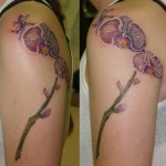 Orchid-Tattoos8